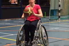 20-Rolstoelbasket